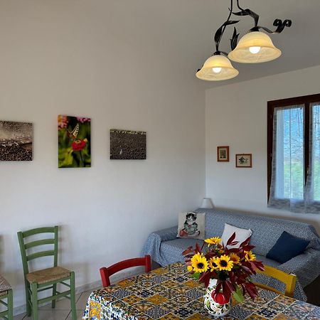 Agriturismo I Debbi Bibbona Kültér fotó
