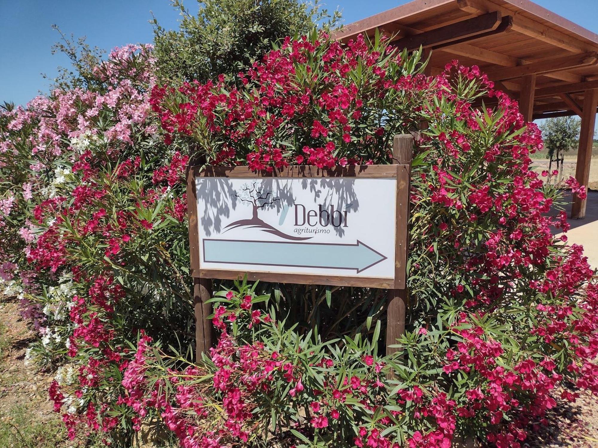 Agriturismo I Debbi Bibbona Kültér fotó
