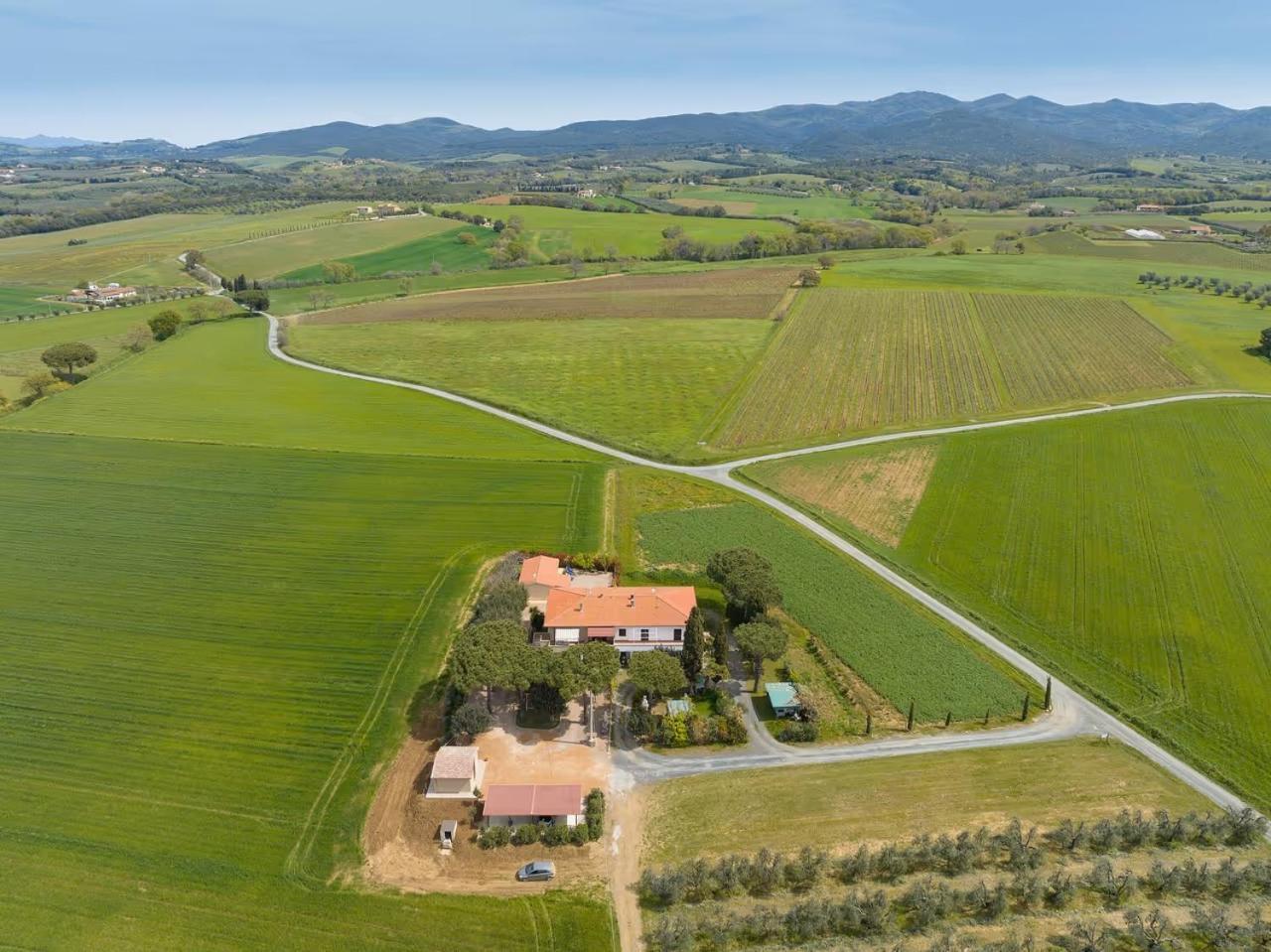 Agriturismo I Debbi Bibbona Kültér fotó
