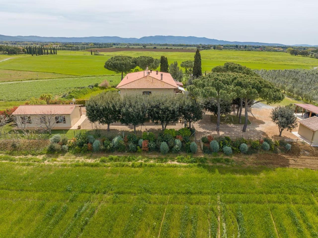Agriturismo I Debbi Bibbona Kültér fotó