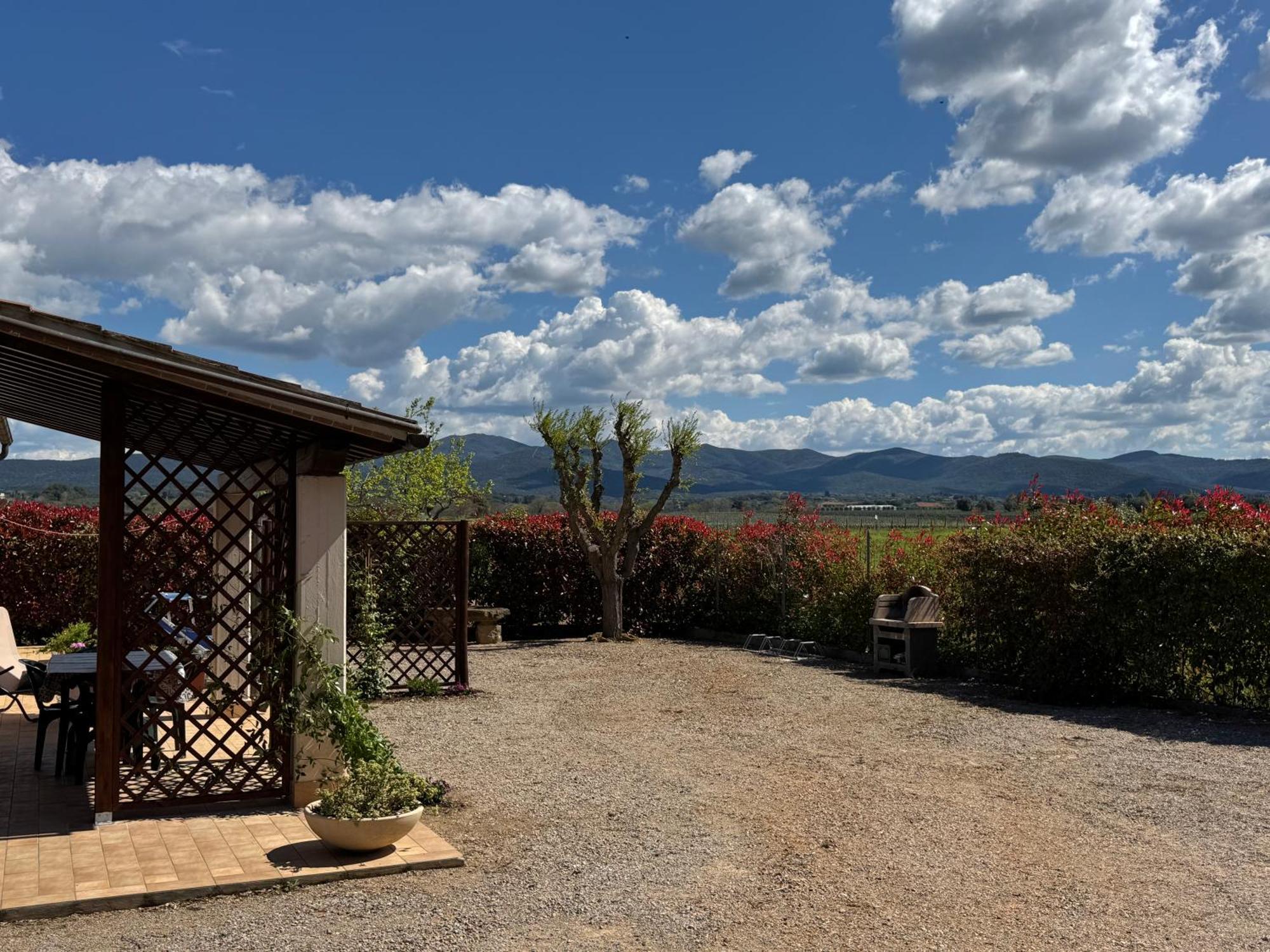 Agriturismo I Debbi Bibbona Kültér fotó